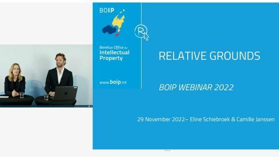 Printscreen van webinar 'Relative grounds'
