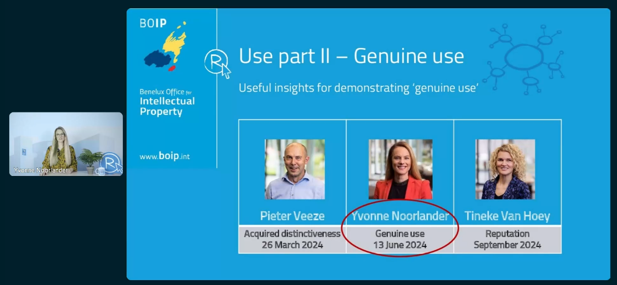 Capture d'écan du webinaire